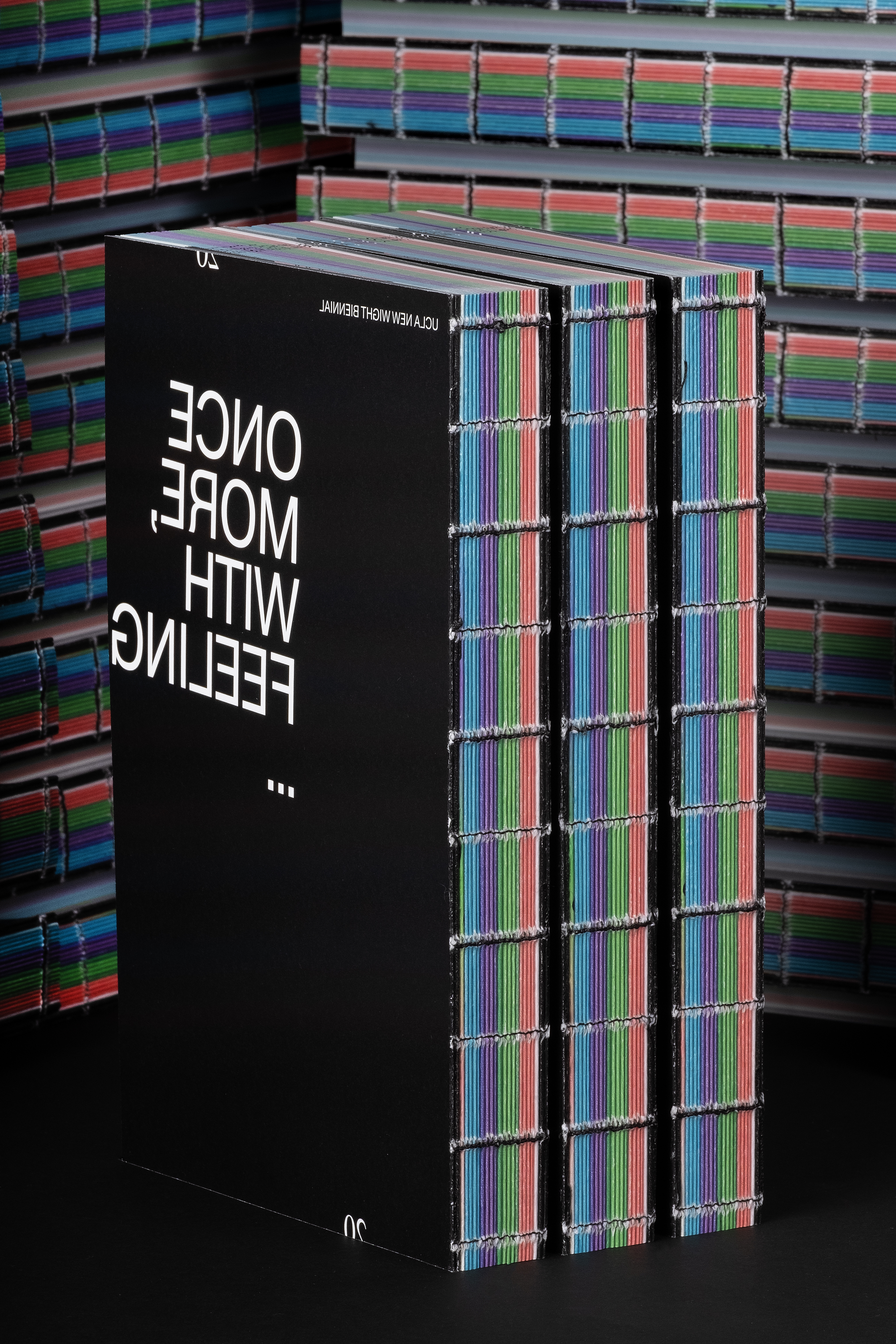 UCLA New Wight Biennial book image 1